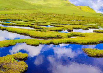 आहा ! मनै लोभ्याउने जिउली पाटन