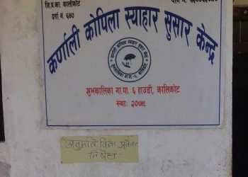 शुभकालिकाकाे काेपिला  स्याहार केन्द अख्तियारकाे फन्दामा