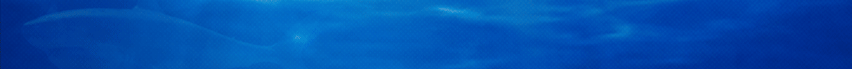 Home Page - 14